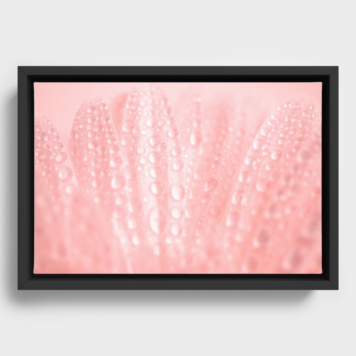 Framed Canvas