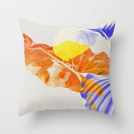 color Throw Pillow