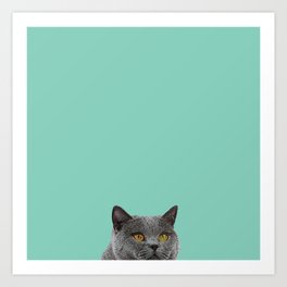 Duck Egg Blue Art Prints Society6 Duck Egg Blue British Short Hair Wall Decor Cat Clock Art Print