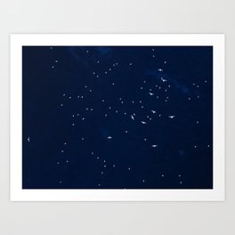 Flying Seagulls | Aerial Art Print | Classic Blue, Ultramarine, Dark, Abstract, Classic, Blue, Photo, Contrast, Cold, Indigo 
