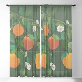 Oranges and Blossoms Botanical Illustration Sheer Curtain