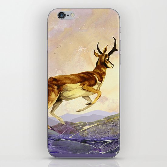 Pronghorn in the Morning iPhone & iPod Skin