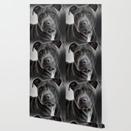society6