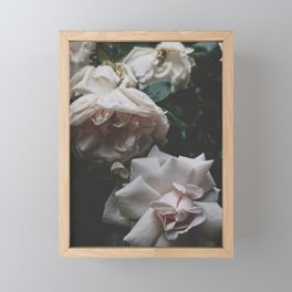 Garden Roses Framed Mini Art Print