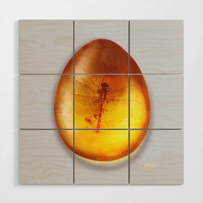 Amber Stone Dragonfly Frozen in Time Wood Wall Art