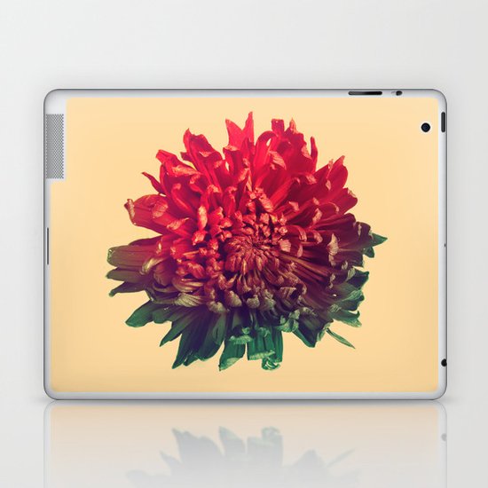 Celebration Laptop & iPad Skin