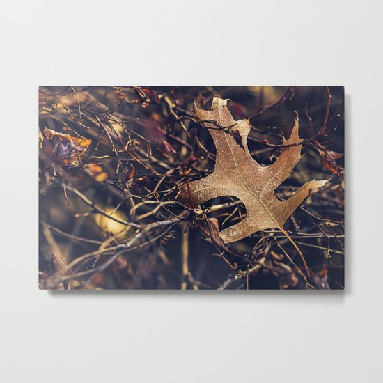 entangled Metal Print