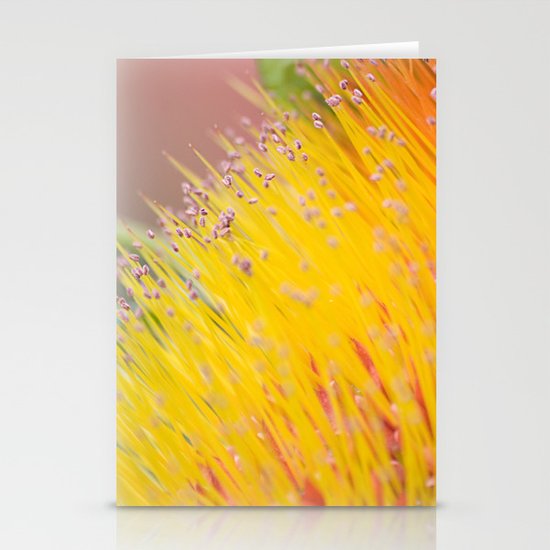 Through a Field of Yellow Stationery Cards
