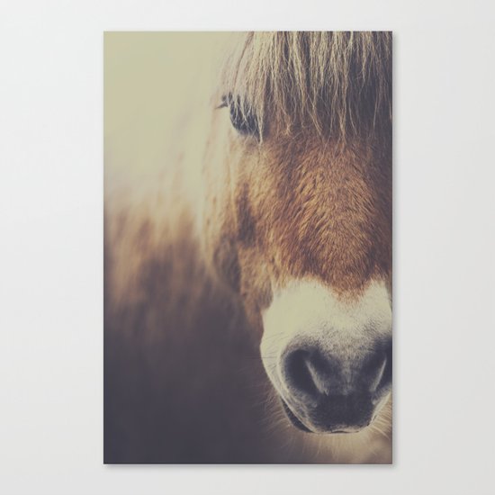The curious girl Canvas Print