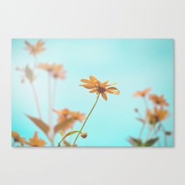 Vintage Flowers & Sky Canvas Print