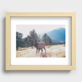 a stare down.  Recessed Framed Print