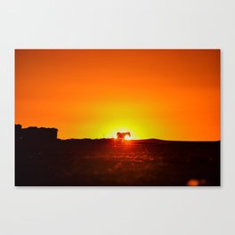 Sunset behind a horse Canvas Print