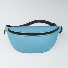 Unrestrained Mid Tone Blue Solid Color Pairs Sherwin Williams Flyway SW 6794 Fanny Pack