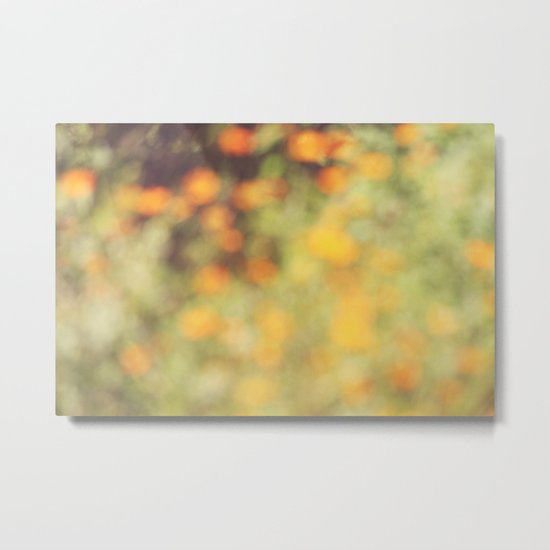 Summer Haze Metal Print