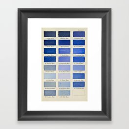 Plate IX (Blue) Framed Art Print