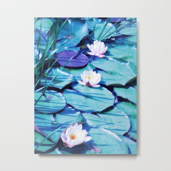 LILY POND Metal Print