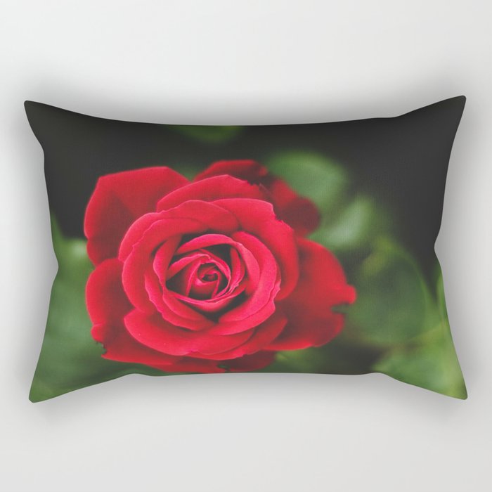 Romantic Red Rose Rectangular Pillow