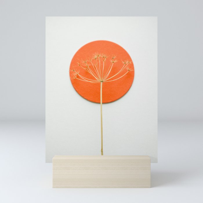Orange circle and dried flower Mini Art Print