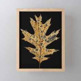 American Oak Framed Mini Art Print