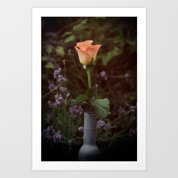 Rose in Vase in Garden Art Print