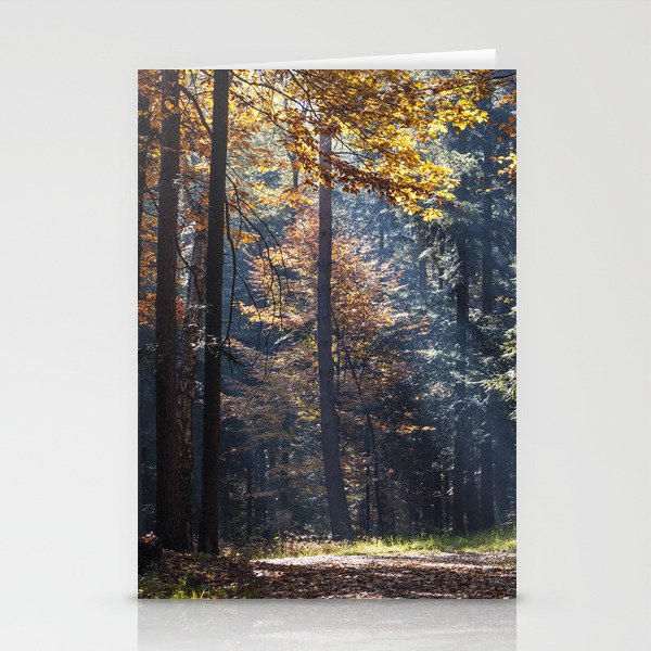 Colorful autumn Stationery Cards