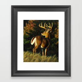 Whitetail Deer Trophy Buck Framed Art Print