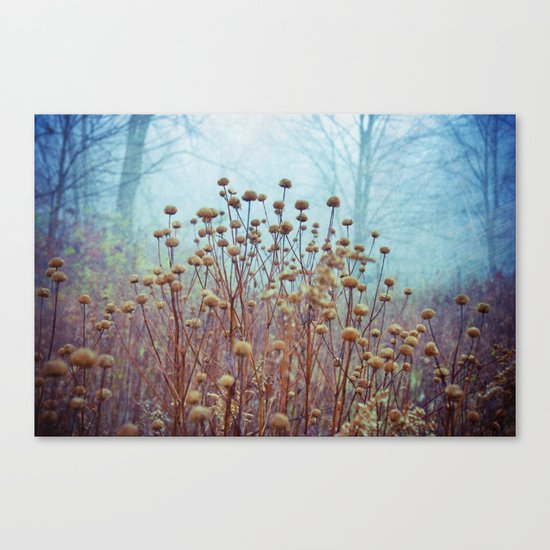 They Danced Alone Canvas Print