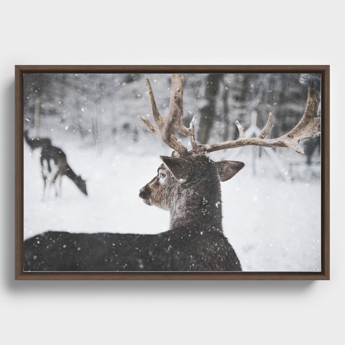 Deer Framed Canvas