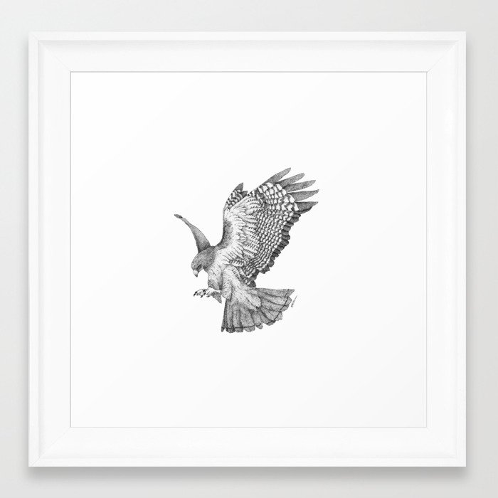 Download Red-Tailed Hawk Framed Art Print by laurenicoleart | Society6