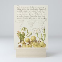 Vintage ornamental calligraphic art with grapes and flowers Mini Art Print