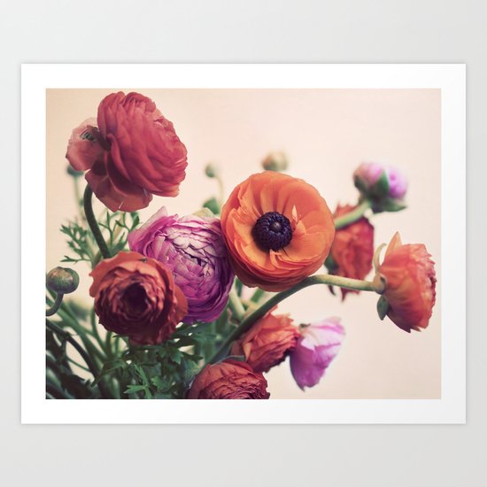 Ranunculus Art Print
