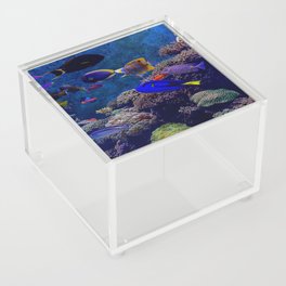  sea creatures Acrylic Box