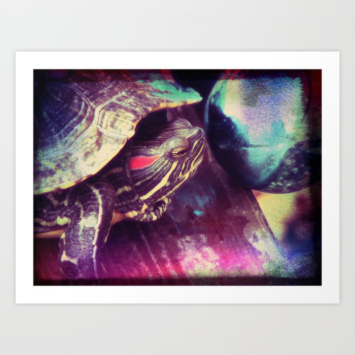 I See What The Future Holds, Murtle the Turtle Art Print