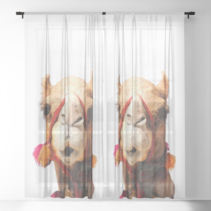 Sheer Curtain