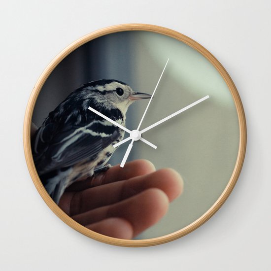 Bird Wall Clock
