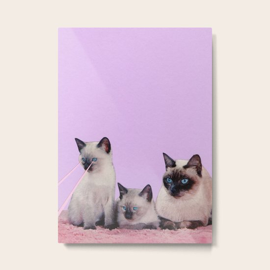 Distracted Metal Print