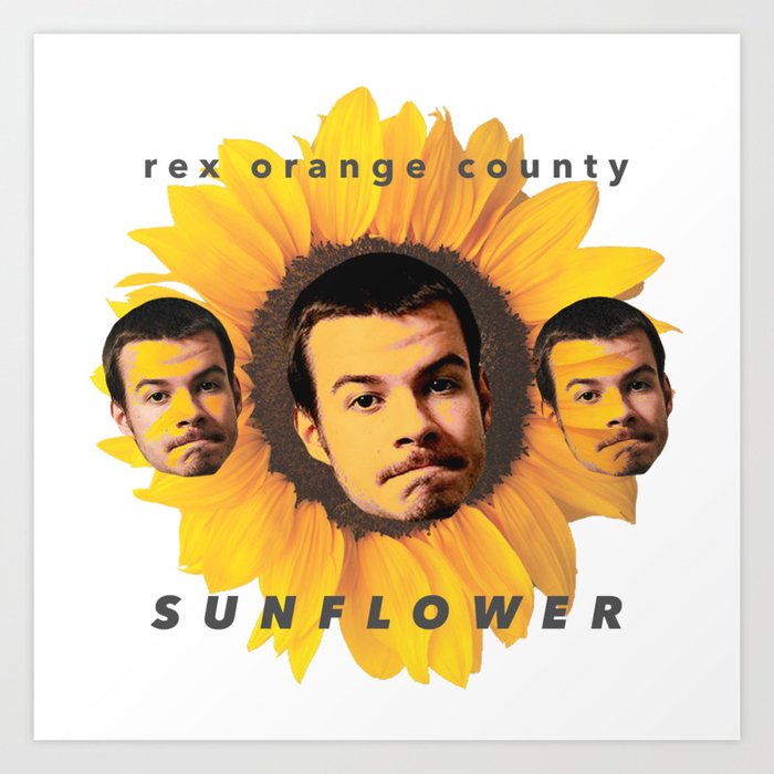 Rex Orange County Sunflower Art Print By Skiggyy Society6