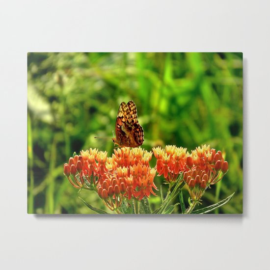 The Morning's First Landing Metal Print
