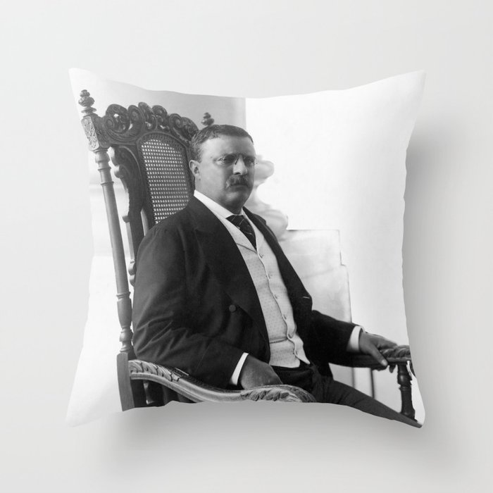 Theodore Roosevelt Sitting Outside - 1904 Throw Pillow
