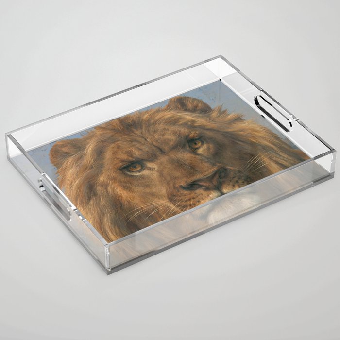 Rosa Bonheur, Portrait of a Lion Acrylic Tray