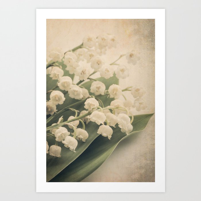Scents of Spring - Lily of the Valley ii Art Print