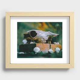 Goat Skull Photography Recessed Framed Print
