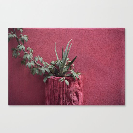 Pink and plant Canvas Print
