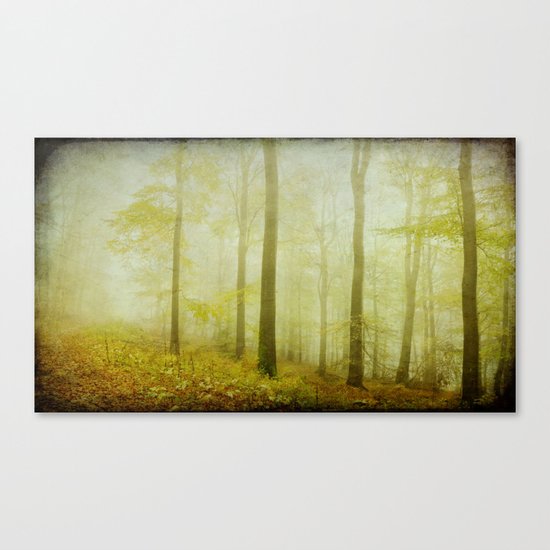 mist in the woods Canvas Print