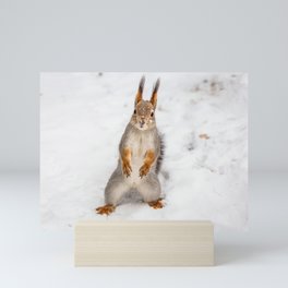 Do you have any boots for squirrels? Mini Art Print