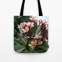 Mexico Photography - Beautiful Red Frangipanis Tote Bag
