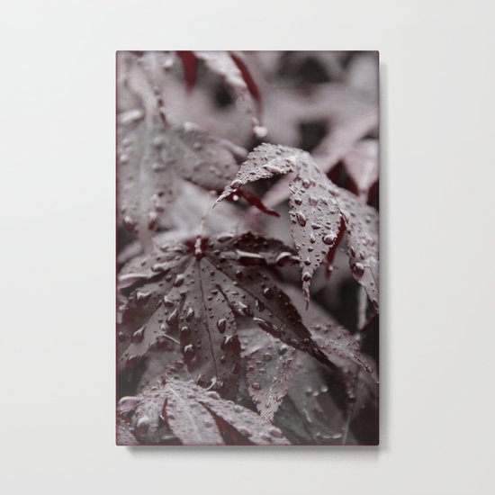 Serenity Metal Print