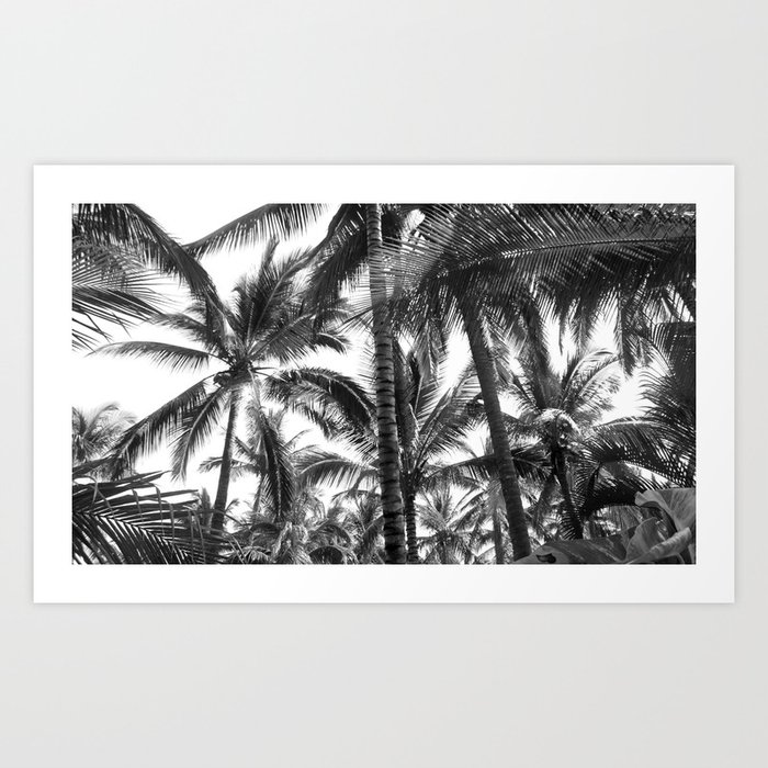 Palm Trees Nayarit Art Print