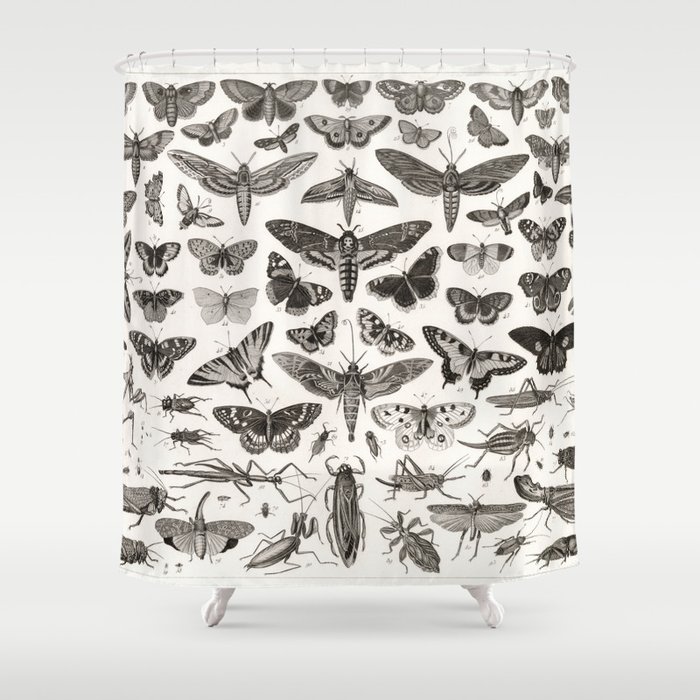 1850 Diagram Zoology: Animals including Insects. Shower Curtain