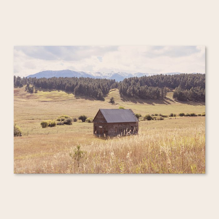 Canvas Print